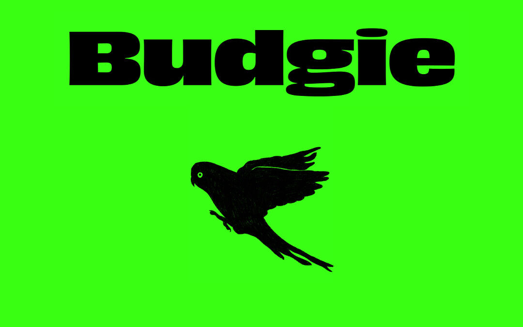 #OnceAMonkey – Budgie at Peckham Fringe 2023